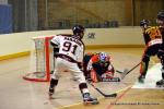 Photo hockey reportage N1 : Les Lions sont rois