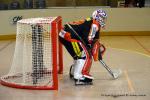 Photo hockey reportage N1 : Les Lions sont rois