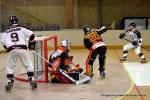 Photo hockey reportage N1 : Les Lions sont rois