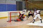 Photo hockey reportage N1 : Les Lions sont rois