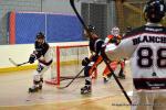 Photo hockey reportage N1 : Les Lions sont rois