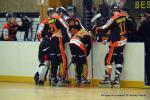 Photo hockey reportage N1 : Les Lions sont rois