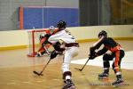 Photo hockey reportage N1 : Les Lions sont rois