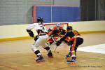 Photo hockey reportage N1 : Les Lions sont rois