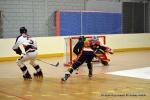 Photo hockey reportage N1 : Les Lions sont rois