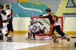 Photo hockey reportage N1 : Les Lions sont rois