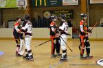 Photo hockey reportage N1 : Les Lions sont rois