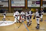 Photo hockey reportage N1 : Les Lions sont rois