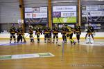 Photo hockey reportage N1 : Les Rapaces d'une courte aile