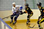 Photo hockey reportage N1 : Les Rapaces d'une courte aile