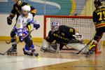 Photo hockey reportage N1 : Les Rapaces d'une courte aile