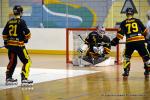 Photo hockey reportage N1 : Les Rapaces d'une courte aile