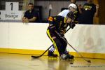 Photo hockey reportage N1 : Les Rapaces d'une courte aile