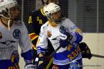 Photo hockey reportage N1 : Les Rapaces d'une courte aile