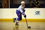 Photo hockey reportage N1 : Les Rapaces d'une courte aile