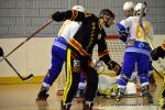 Photo hockey reportage N1 : Les Rapaces d'une courte aile