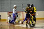 Photo hockey reportage N1 : Les Rapaces d'une courte aile