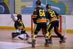 Photo hockey reportage N1 : Les Rapaces d'une courte aile