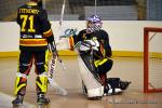 Photo hockey reportage N1 : Les Rapaces d'une courte aile