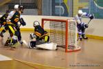 Photo hockey reportage N1 : Les Rapaces d'une courte aile