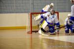 Photo hockey reportage N1 : Les Rapaces d'une courte aile