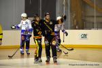 Photo hockey reportage N1 : Les Rapaces d'une courte aile