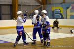 Photo hockey reportage N1 : Les Rapaces d'une courte aile