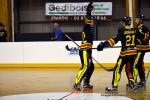 Photo hockey reportage N1 : Les Rapaces d'une courte aile