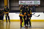 Photo hockey reportage N1 : Les Rapaces d'une courte aile