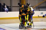 Photo hockey reportage N1 : Les Rapaces d'une courte aile