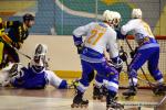 Photo hockey reportage N1 : Les Rapaces d'une courte aile