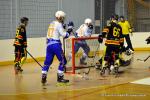 Photo hockey reportage N1 : Les Rapaces d'une courte aile