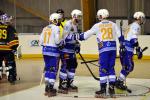 Photo hockey reportage N1 : Les Rapaces d'une courte aile