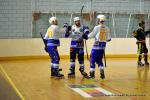 Photo hockey reportage N1 : Les Rapaces d'une courte aile