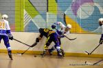 Photo hockey reportage N1 : Les Rapaces d'une courte aile