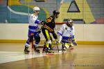 Photo hockey reportage N1 : Les Rapaces d'une courte aile