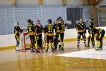 Photo hockey reportage N1 : Les Rapaces d'une courte aile