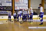 Photo hockey reportage N1 : Les Rapaces d'une courte aile
