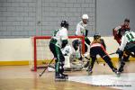 Photo hockey reportage N1 : Pont de Metz toujours en vie