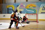 Photo hockey reportage N1 : Pont de Metz toujours en vie