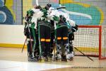 Photo hockey reportage N1 : Pont de Metz toujours en vie