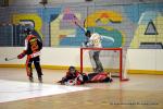 Photo hockey reportage N1 : Vaine course poursuite pour les Griffons