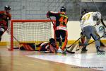 Photo hockey reportage N1 : Vaine course poursuite pour les Griffons