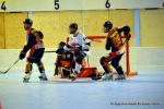 Photo hockey reportage N1 Playdowns : Jusqu'au bout 