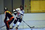Photo hockey reportage N1 Playdowns : Jusqu'au bout 