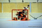 Photo hockey reportage N1 Playdowns : Jusqu'au bout 