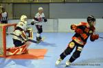 Photo hockey reportage N1 Playdowns : Jusqu'au bout 