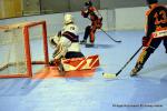 Photo hockey reportage N1 Playdowns : Jusqu'au bout 