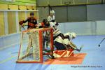 Photo hockey reportage N1 Playdowns : Jusqu'au bout 