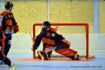 Photo hockey reportage N1 Playdowns : Jusqu'au bout 